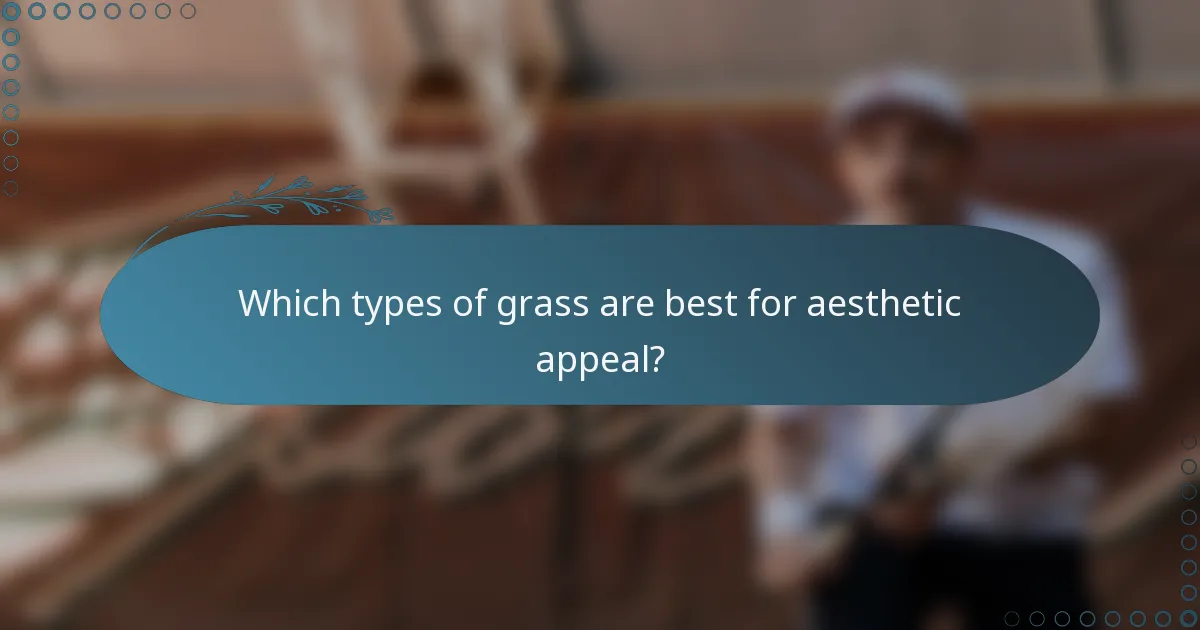 Which types of grass are best for aesthetic appeal?